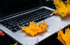 Configuring Comment Moderation Colorful Autumn leaves and laptop on a black background. Top view of work space in the fall.