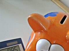 Cheap Hosting Renewal Price Comparison Piggy Bank and Calculator